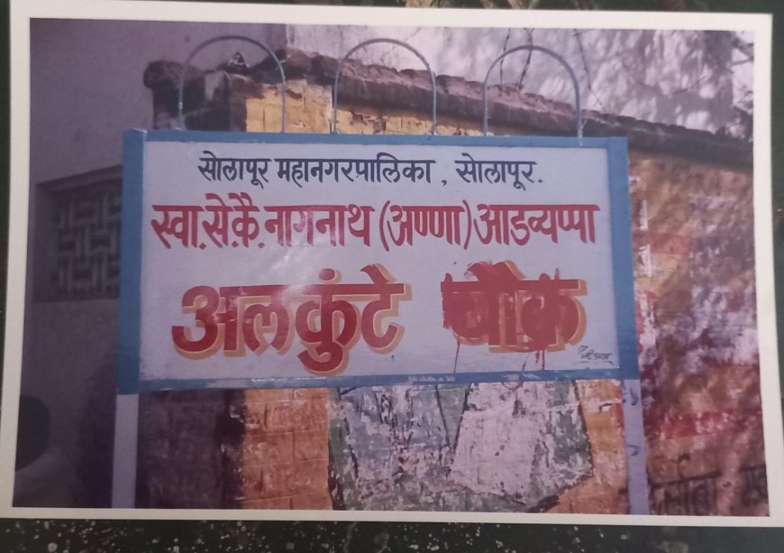 नामकरणावरून भाजप महिला नगरसेविकांचा सामना